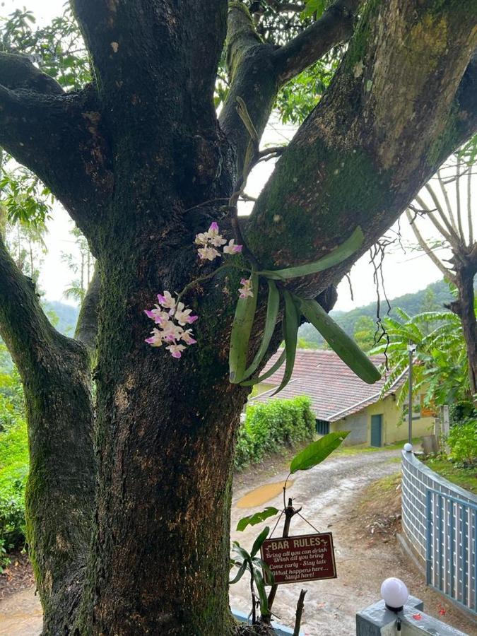Darshan'S Home Stay Madikeri Eksteriør bilde